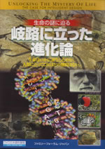 ꥹۡδ